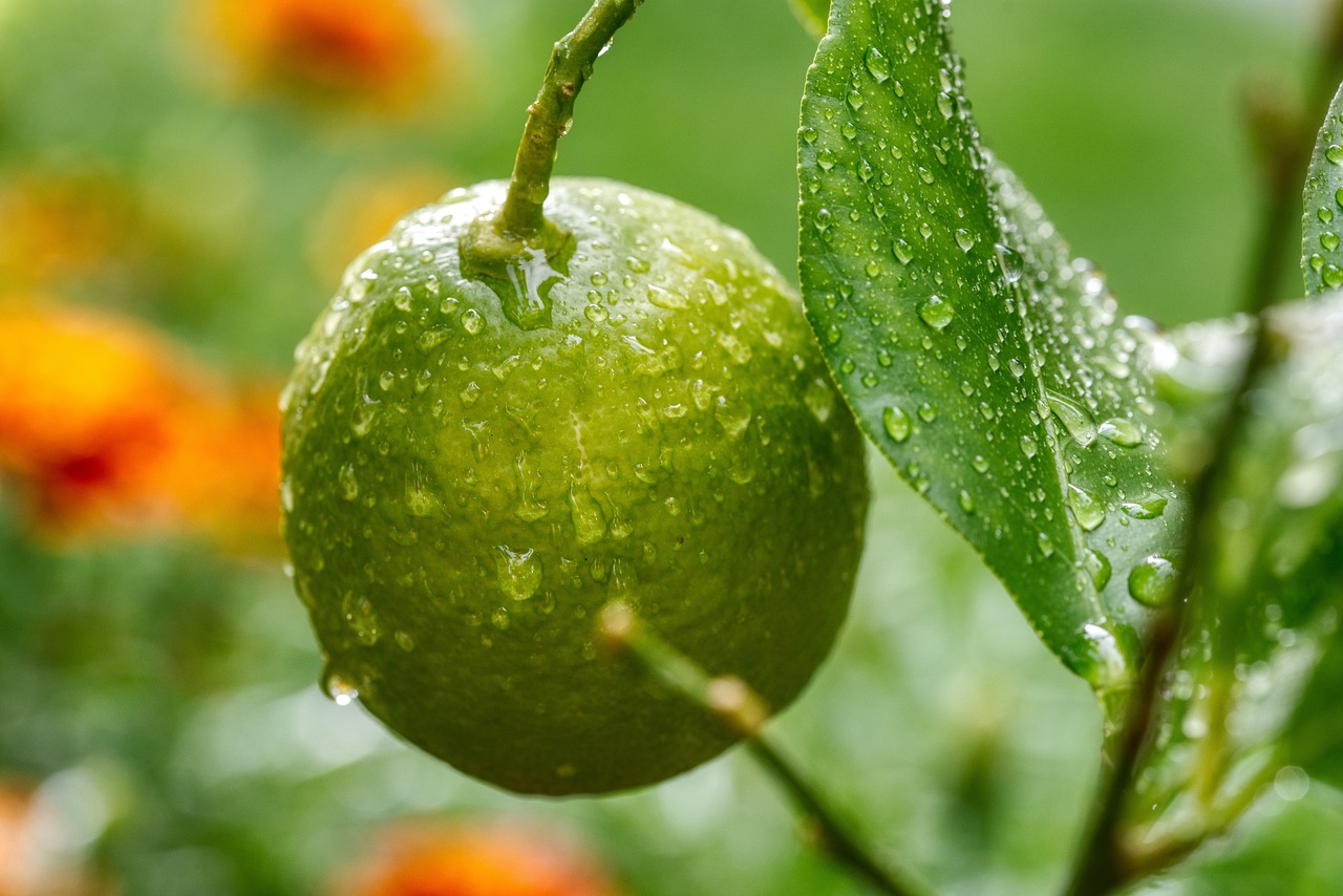 ISO 27001 Mittelstand